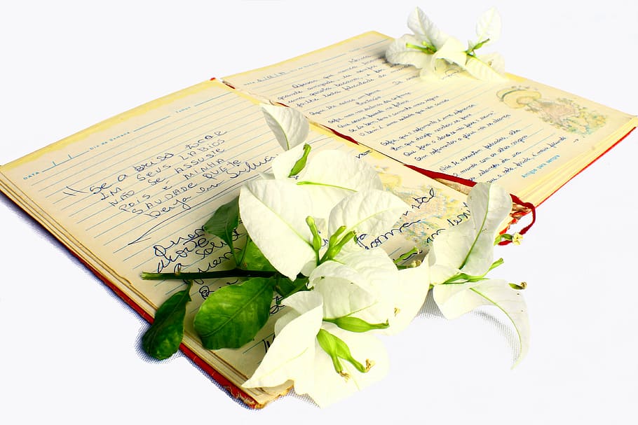putih, bunga, puncak, buku catatan, puisi, buku puisi, romantisme, buku catatan tua, puisi remaja, cinta