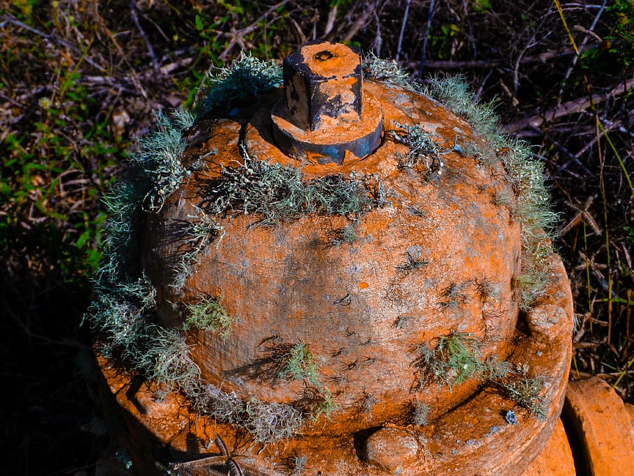 fire hydrant, water hydrant, extinguish, fire department, hydrant, red, water source, abandoned, old, moss