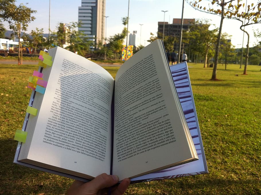 leitura, parque, livro, solidão, sol, domingo, ler, leitor, relaxamento, planta
