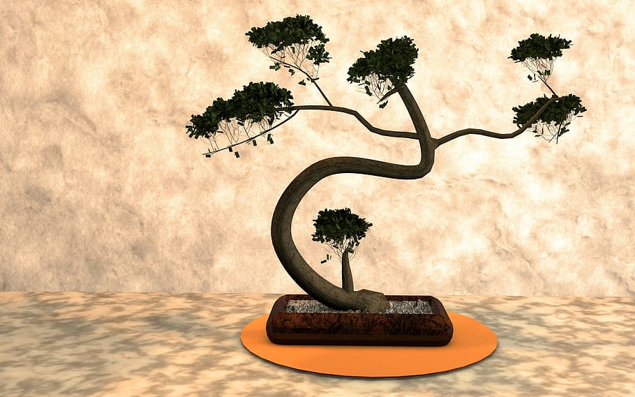 bonsai, plant, harmony, nature, tree, small, potted plant, japan, bäumchen, tiny