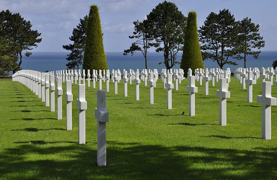 military cemetery, normandy, dday, omaha beach, cemetery, tombstone, grave, plant, stone, in a row