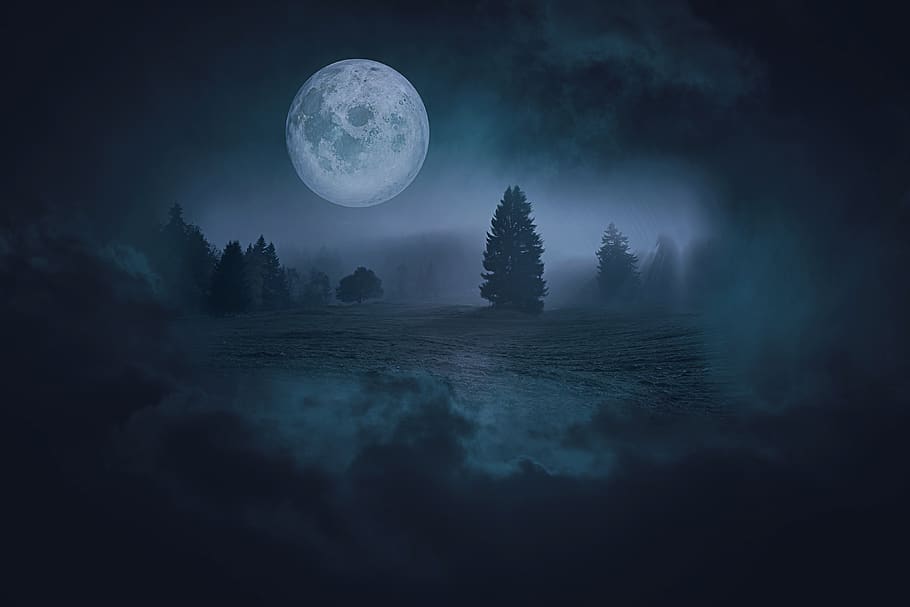 paisaje, fantasía, paisaje de fantasía, noche, luna, luna llena, oscuro, gótico, paisaje nocturno, árboles