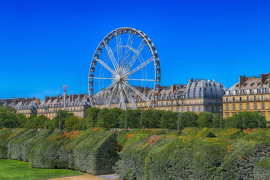 paris, large-wheel, manege, garden, tuileries, jardin-des-tuileries, summer, park, france, tourism