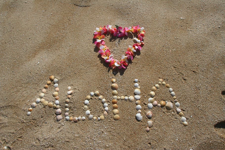 white, beige, seashell, seashore, aloha, sand, hawaii, beach, tropical, vacation