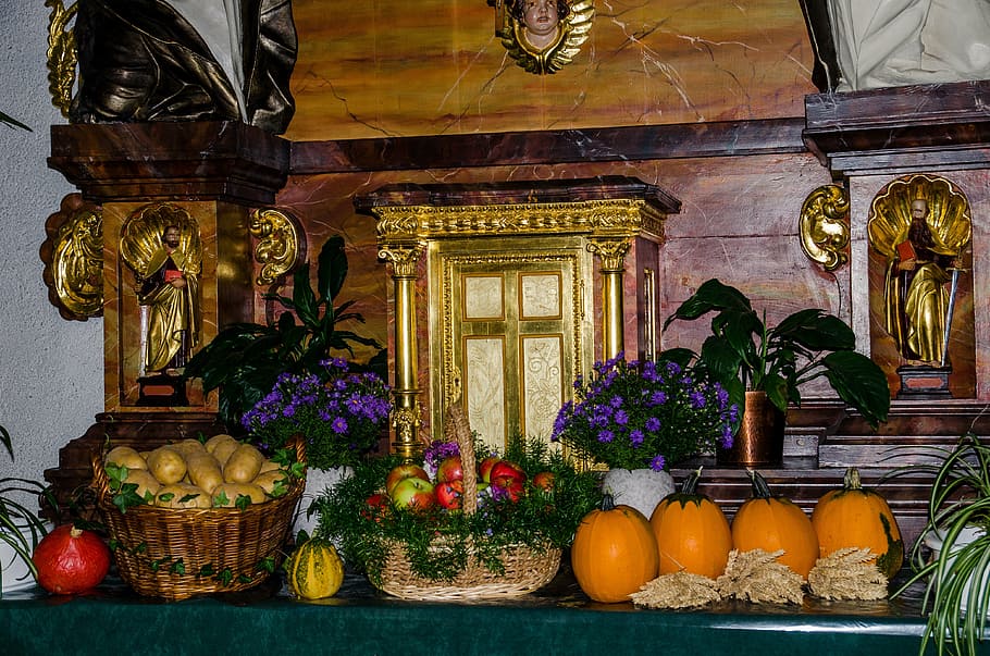 assorted, variety, fruits, vegetables, green, table, thanksgiving, thanksgiving altar, church, food