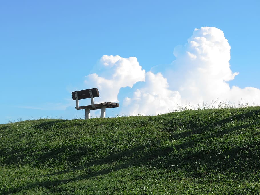 brown, white, wooden, metal-framed bench, grass, Seat, Rest, resting, comfortable, lifestyle