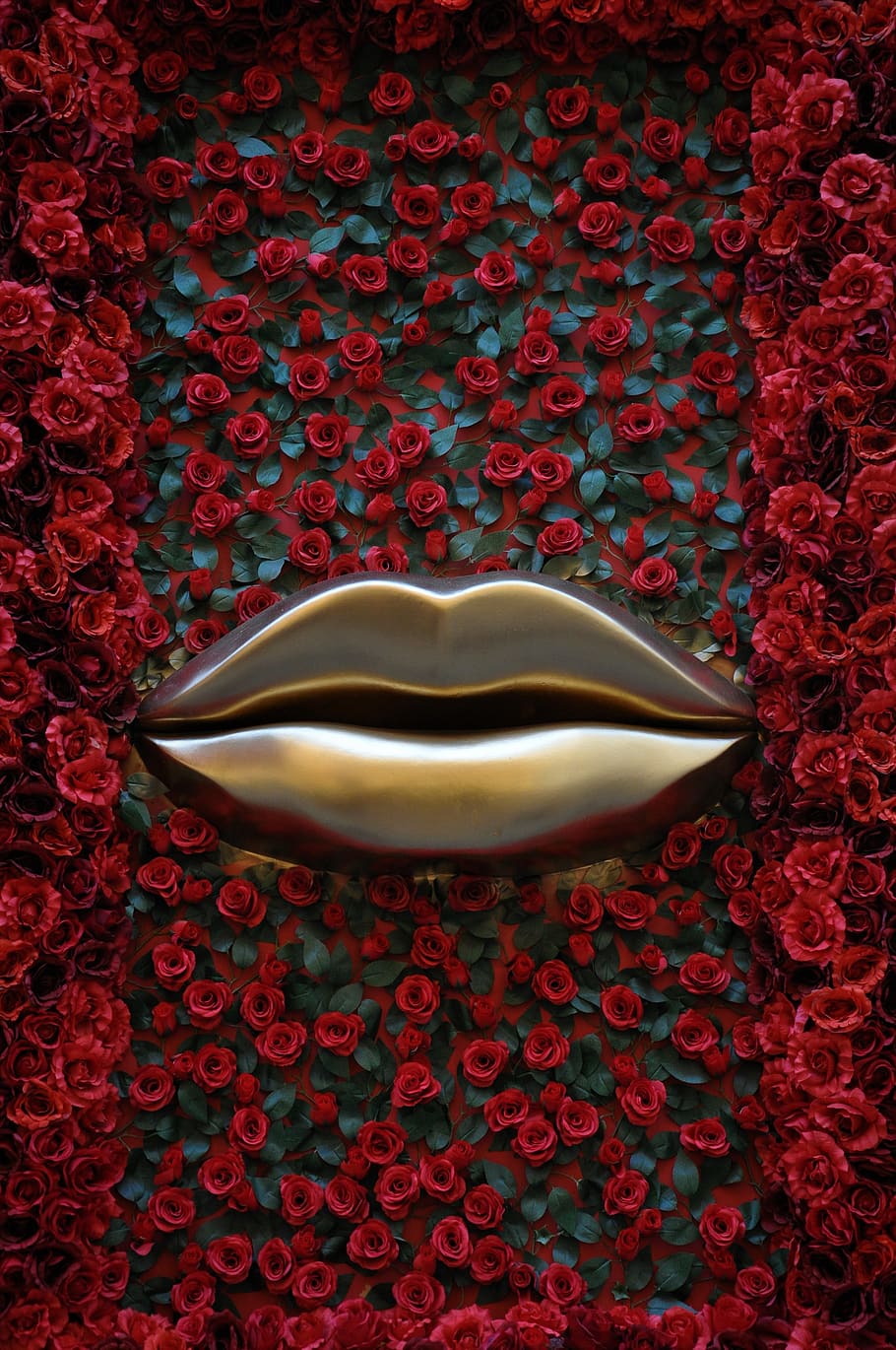 lips, roses, red, golden, bordeaux, love, cosmetology, lviv, ukraine, flowers