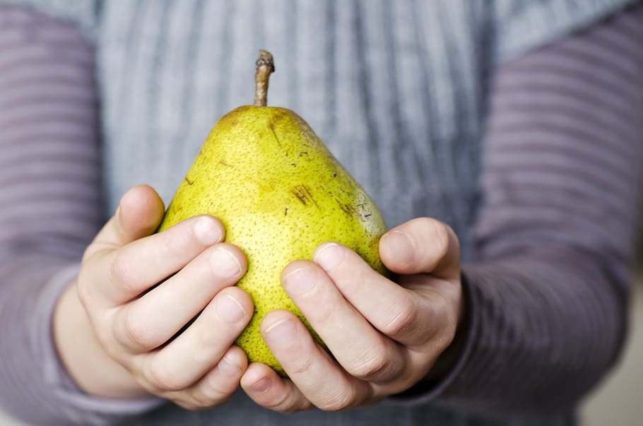 person, holding, yellow, pear fruit, fruit, vitamins, power supply, healthy, peer, raw