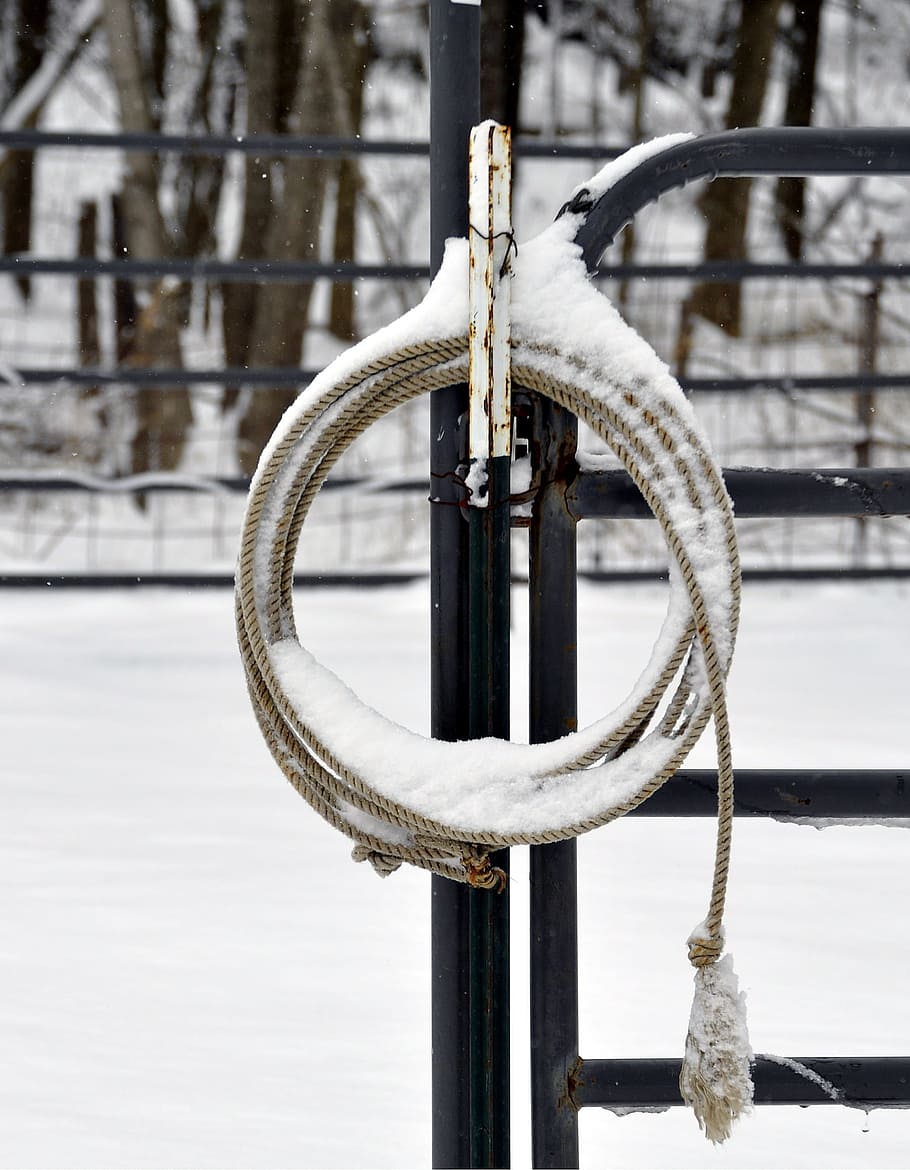 Lariat, Rope, Snow, Covered, Round Pen, lariat rope, snow covered, winter, alone, lonely