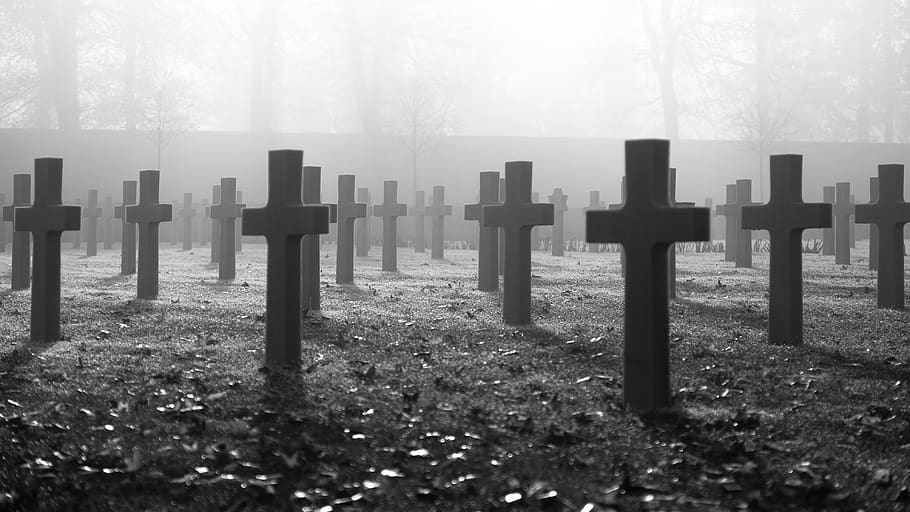 war memorial, remembrance day, military, cemetery, monument, veteran, fog, grave, tombstone, nature
