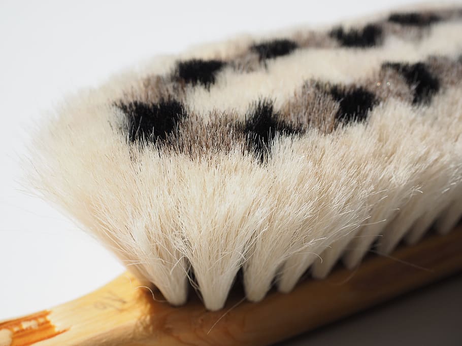 goat hair brush, brush, bristles, clean, wipe, feather duster, make clean, animal, animal themes, mammal