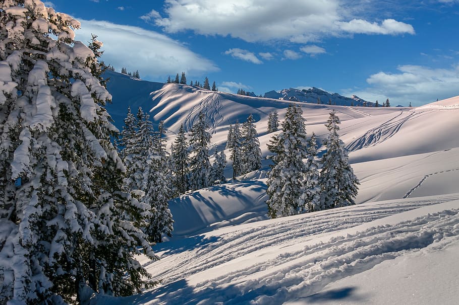 winter, mountains, snow, landscape, nature, alpine, hochybrig, switzerland, himmelolkentannen, traces