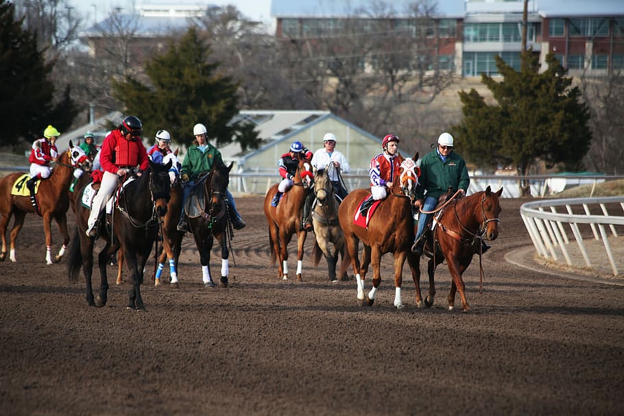 Horses, Horse Racing, Racetrack, horse race, jockey, race, racing, rider, horseback, thoroughbred