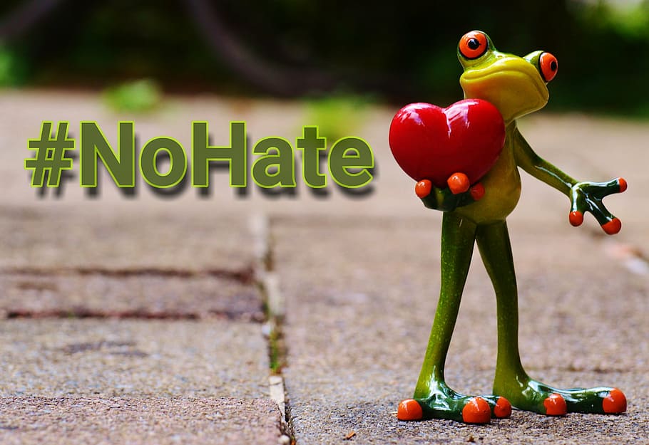standing, red-eyed frog, holding, heart decor, text overlay, no hate, action, against cyberbullying, hashtag, hate no