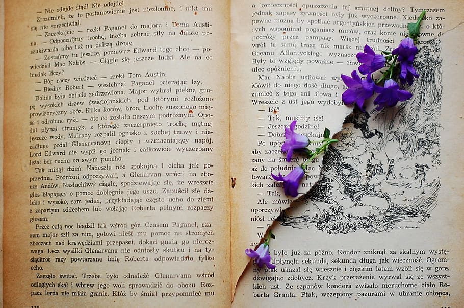 book page, purple, flowers, book, old book, flower, violet, vintage, old, yellowed pages