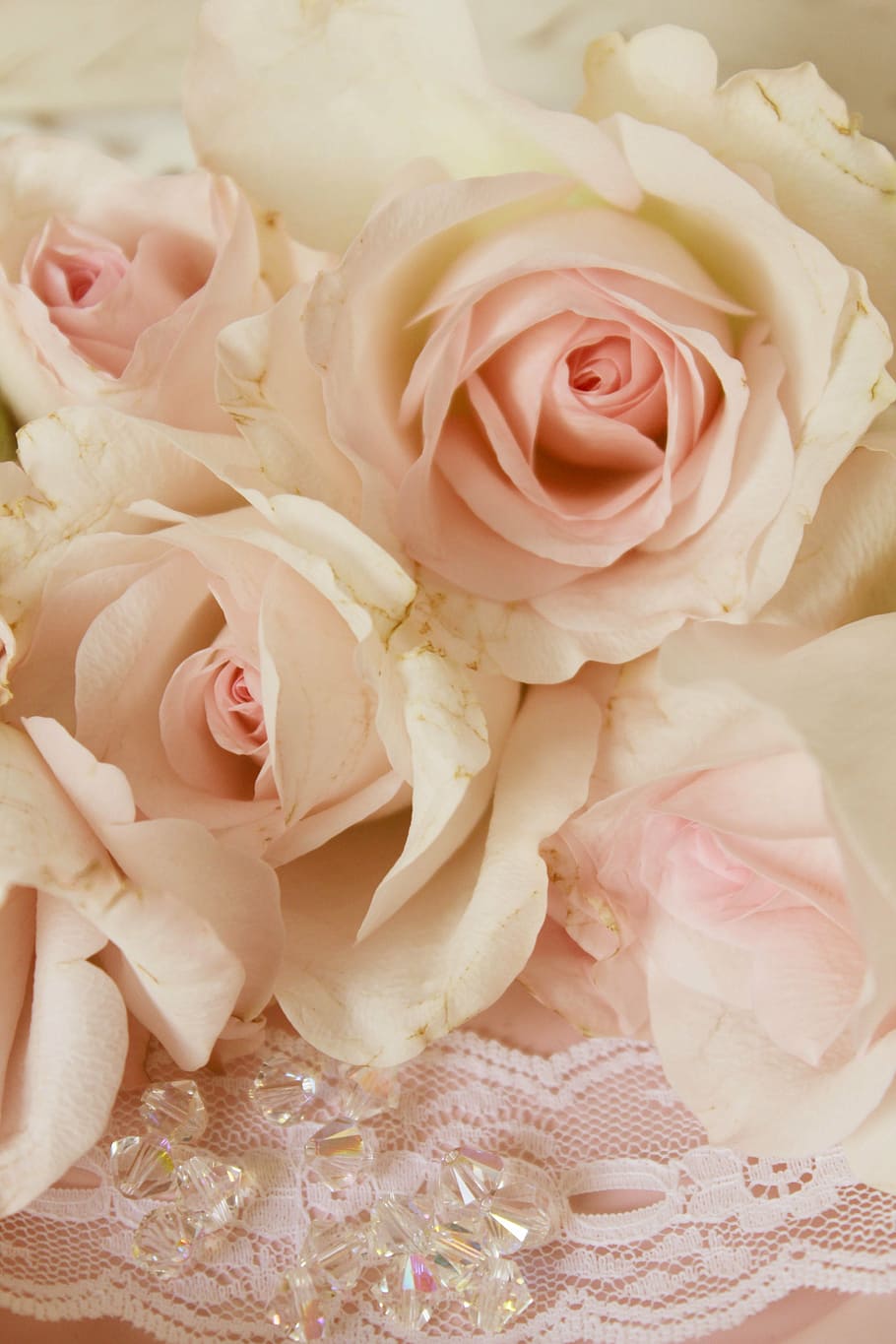 white, pink, roses, pink roses, beads, background, playful, romantic, wedding, engagement