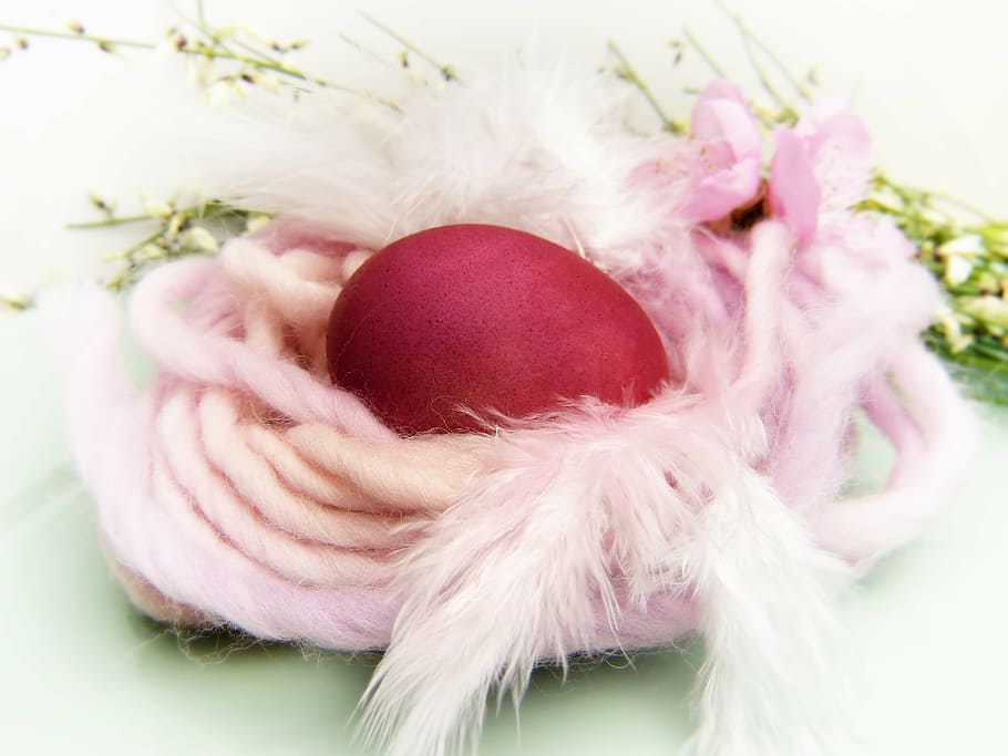 rojo, huevo, cubierto, rosado, cuerda, nido de pascua, lana, nido, color, huevos de tinte