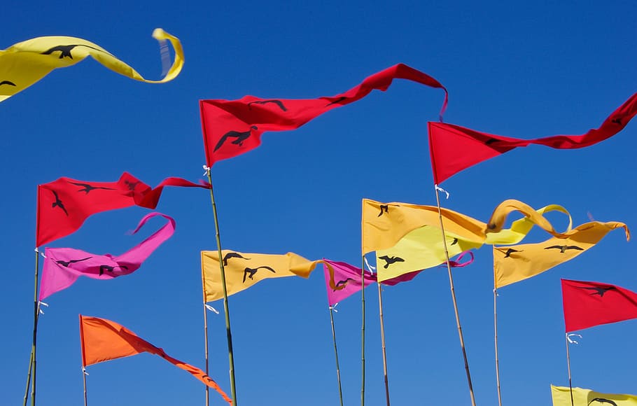 flags, pennants, red, yellow, blue, sky, flutter, blowing, colourful, triangular