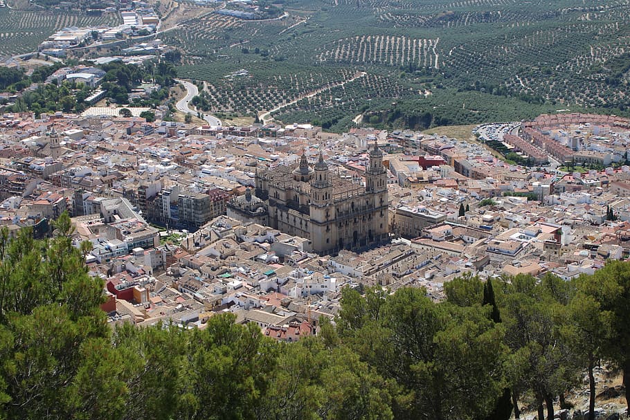 jaen, cathedral, city, spain, jaén, aldaba, andalusia, monument, tourism, temple