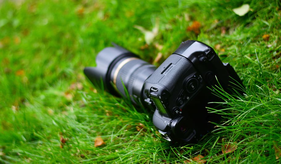 클로즈업 사진, 검은, DSLR 카메라, 녹색, 잔디 잔디, 카메라, 사진, 렌즈, 디지털 카메라, 목초지
