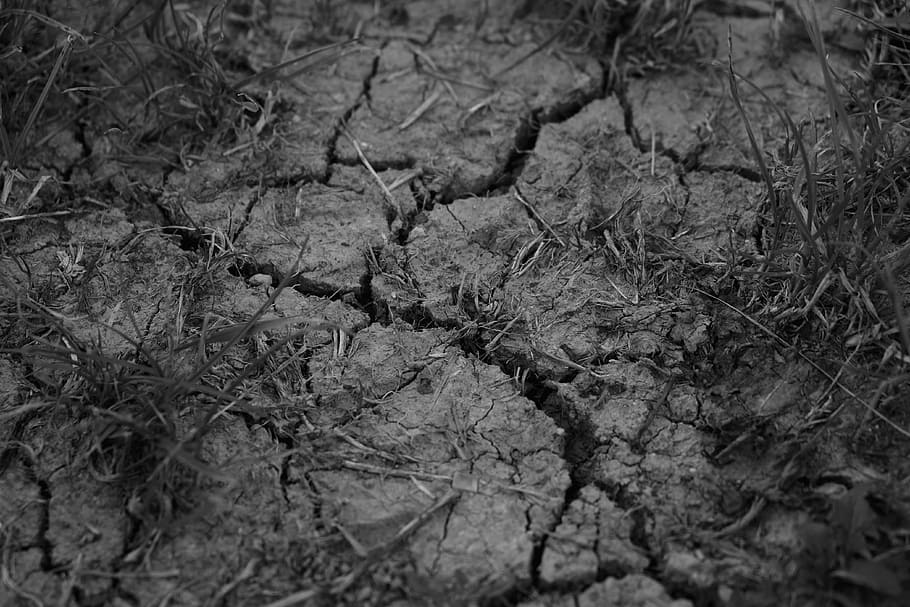 Drought, Cracks, Dehydrated, Dry, Earth, ground, cracked, structure, clay soil, parching