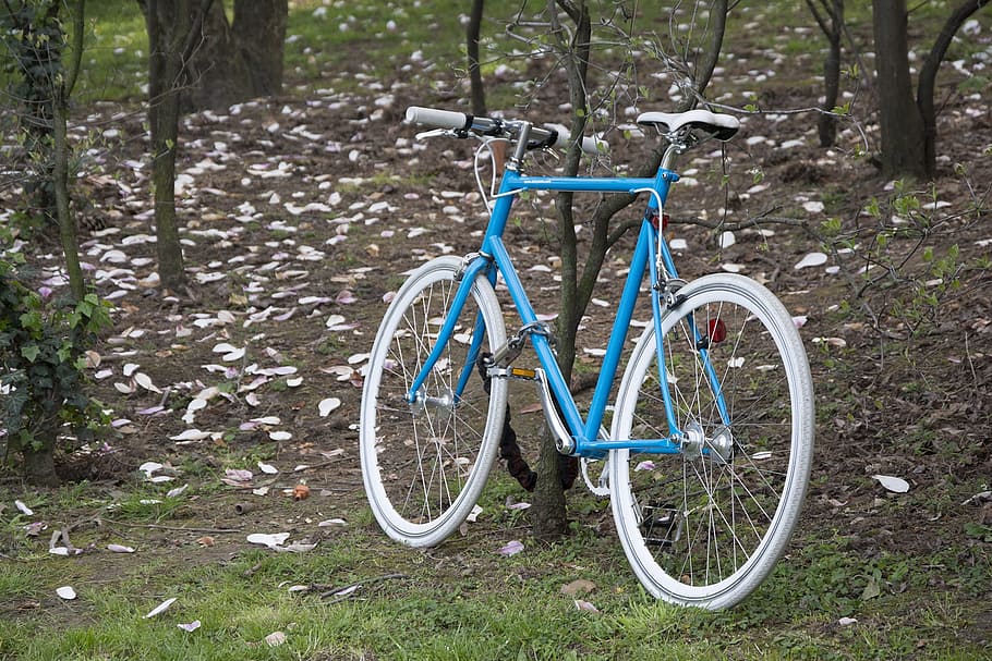 Sepeda, siklus, naik, roda, biru, bersepeda, outdoor, musim panas, kegiatan, rekreasi