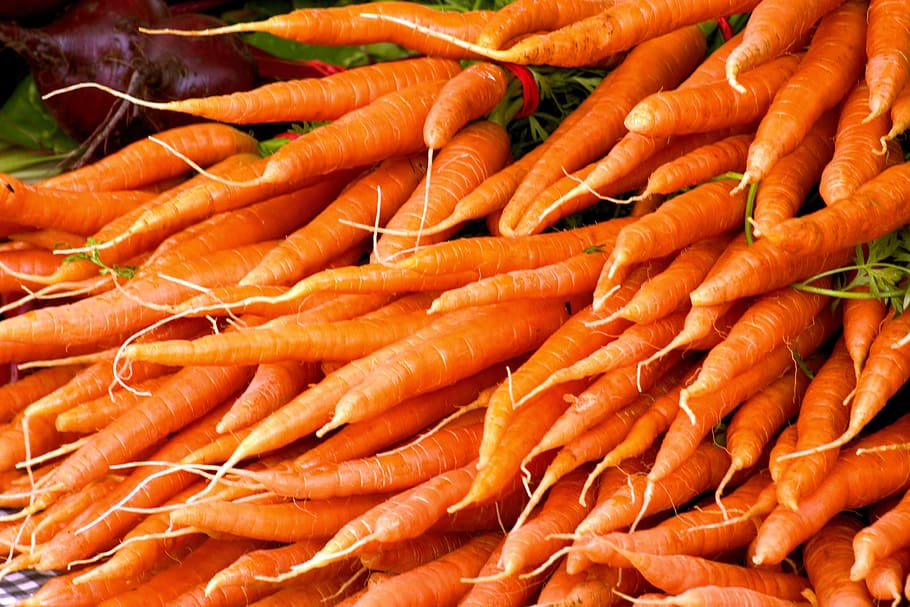 colorful carrots, carrots, vitamins, nutrition, vegetables, food, plant, harvest, healthy, health | Pxfuel