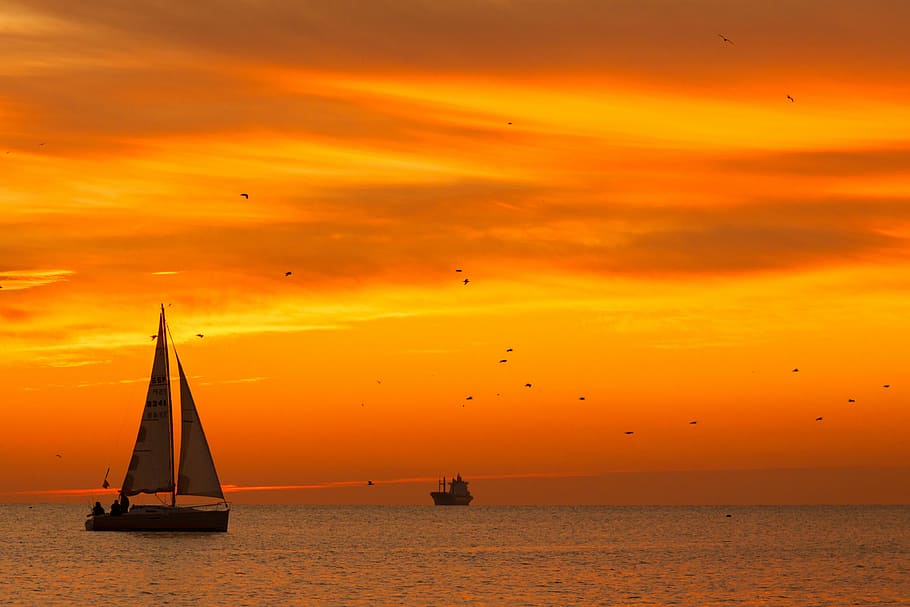white, sailboat, sunset, sailing, ship, body, water, golden, hour, sea