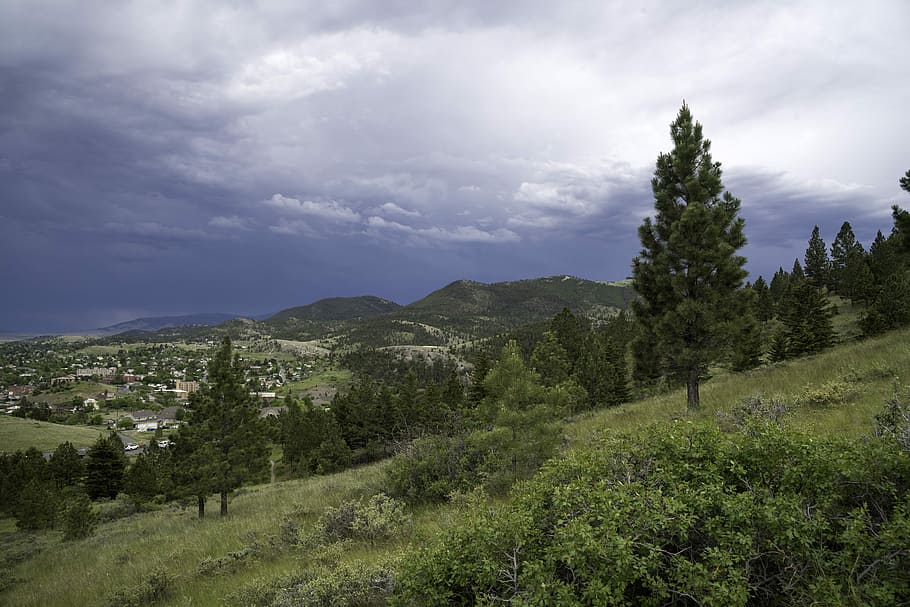mountainside landscape, pine trees, helena, montana, Mountainside, landscape, Helena, Montana, clouds, green, landscapes