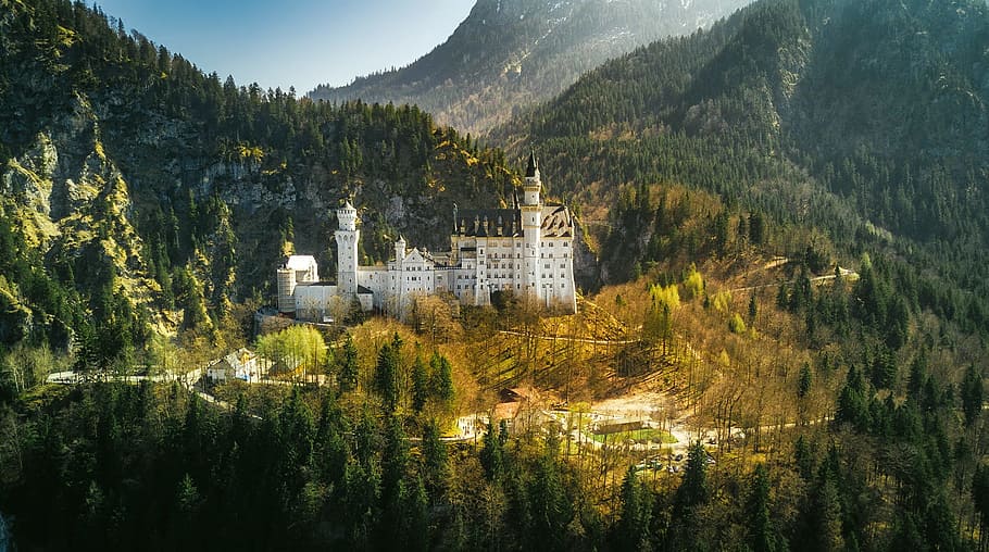 white, castle, woods, daytime, white castle, in the woods, neuschwanstein castle, germany, famous, bavaria