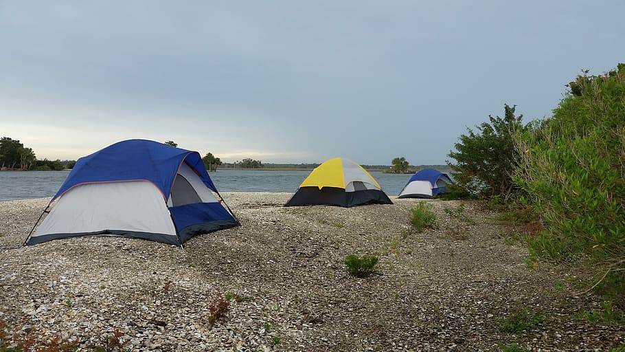 three, blue, yellow, dome tent, body, water, daytime, Tent, Camping, Beach