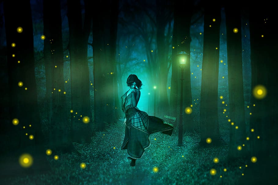 night, fireflies, street lights, road, trail, park, forest, benches, woman, girl