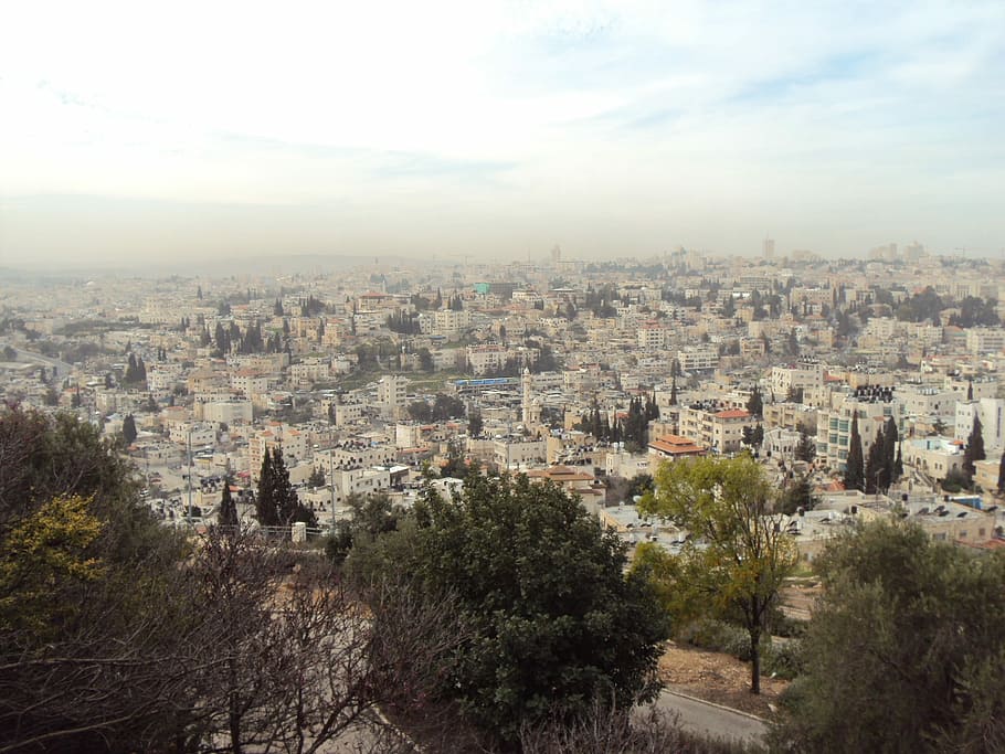 Israel, Holy Land, City View, view, city, jerusalem, cityscape, architecture, day, tree