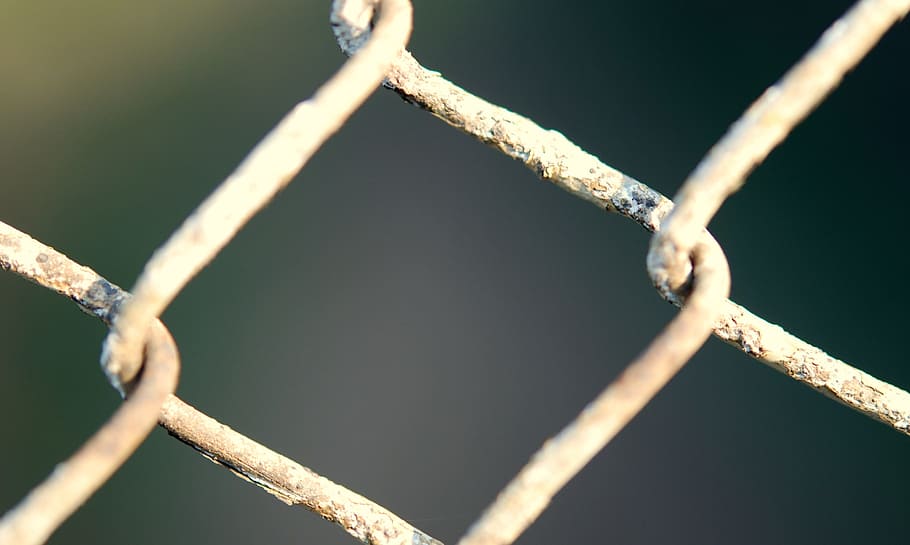 selective, focus photography, gray, chainlink fence, fencing, chainlink, wire, metal, security, steel