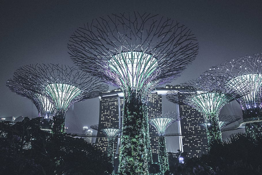 jardines, bahía, singapur, urbano, ciudad, oscuro, noche, luces, arquitectura, edificio