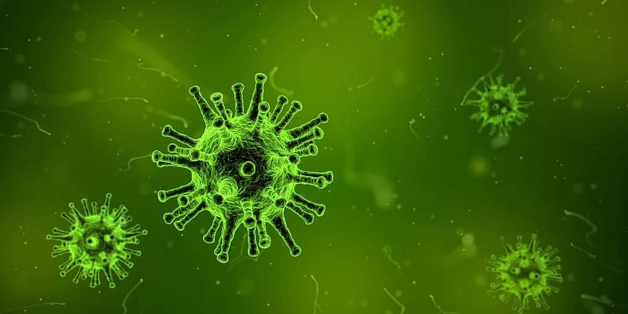 virus cells, green, dye, Virus, Cells, illness, microscopic, public domain, sickness, bacterium