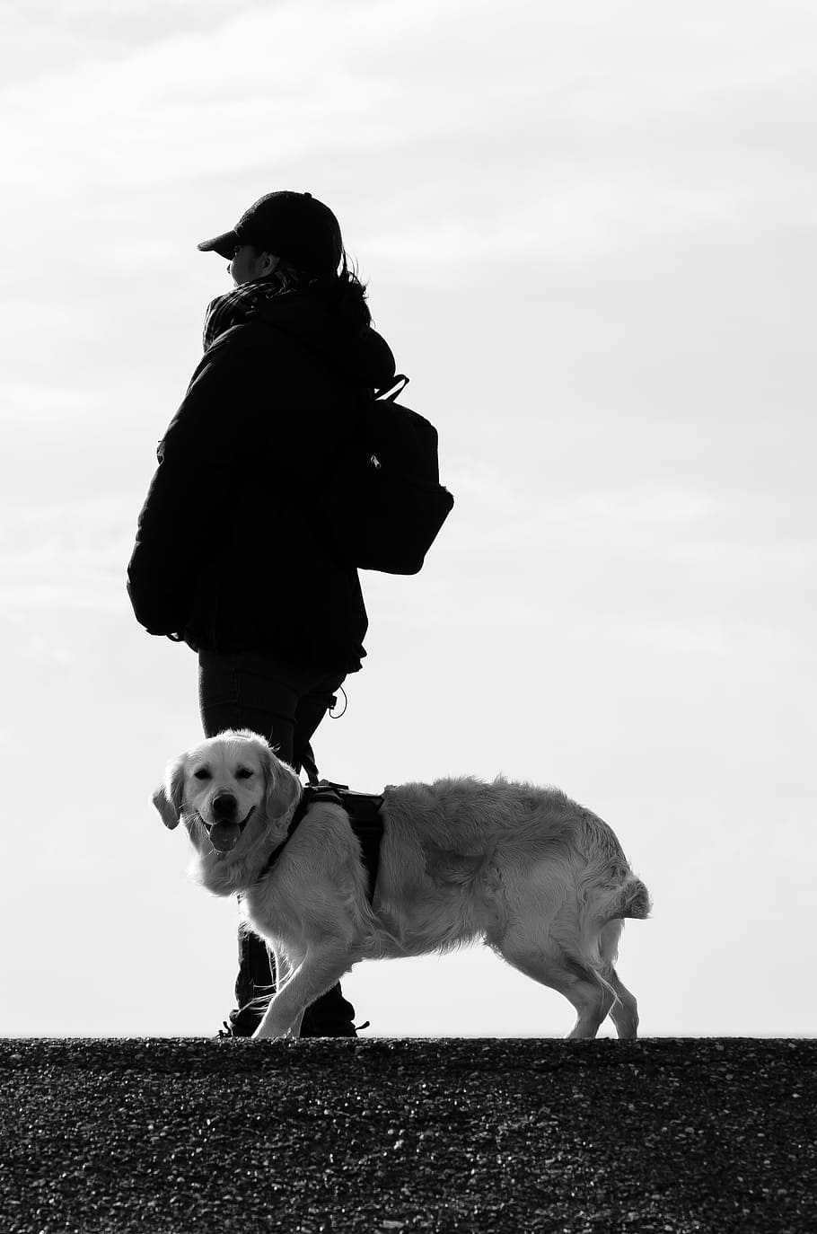 grayscale photography, person, standing, golden, retriever, daytime, dog, human, animal, beach