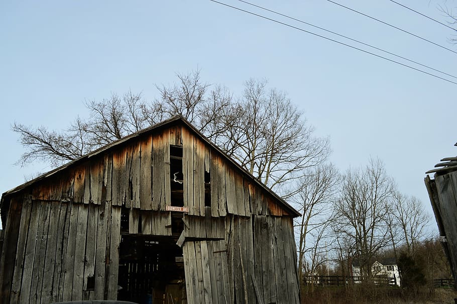 barn, kentucky, budweiser ave, wood, farm, tree, architecture, built structure, bare tree, sky