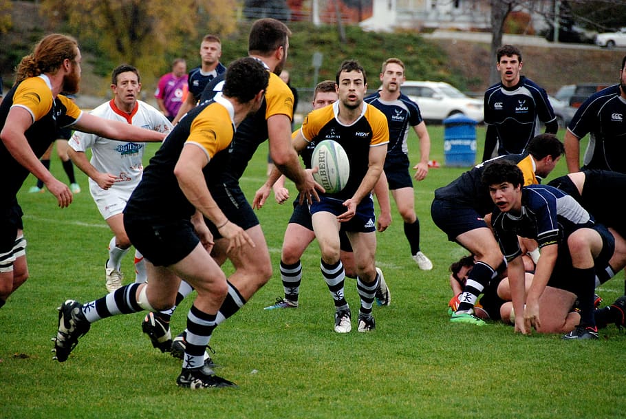 men, playing, ball sport, green, field, rugby, sport, game, group of people, competition