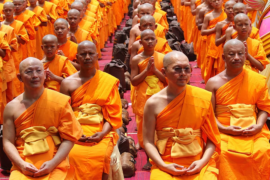 monge, budistas, sentado, idosos, velho, careca, tradição, cerimônia, roupão, laranja