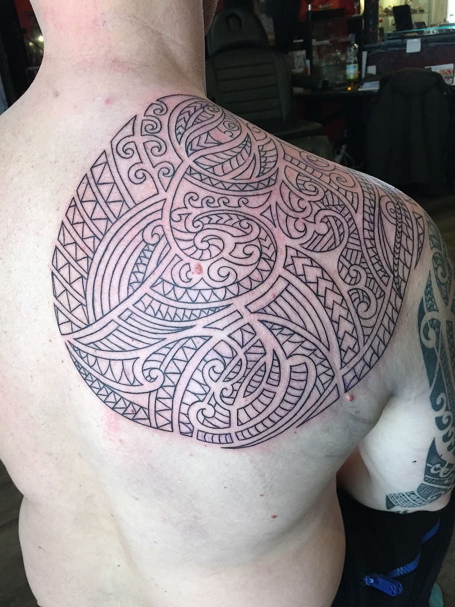 tattoo, maori, tribal, artwork, new zealand, painted, ink, shoulder, symbol, fern