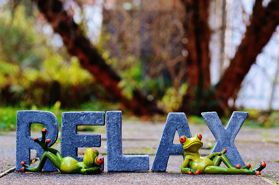 two, green, frog, ceramic, figurines, relax, frogs, rest, concerns, recovery