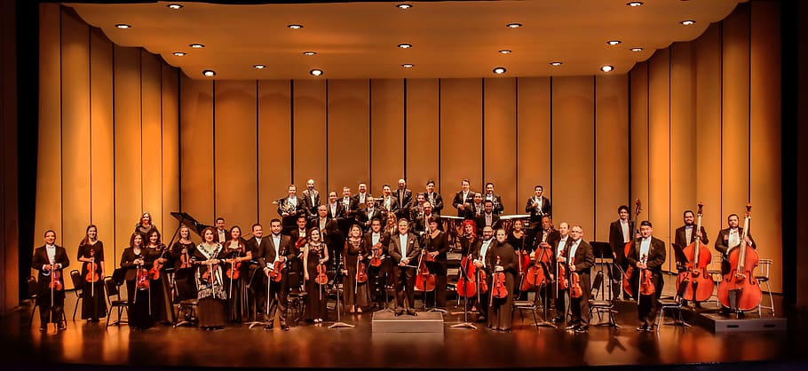 orchestra, performance, concert, people, stage - performance space, stage, music, musical instrument, arts culture and entertainment, group of people