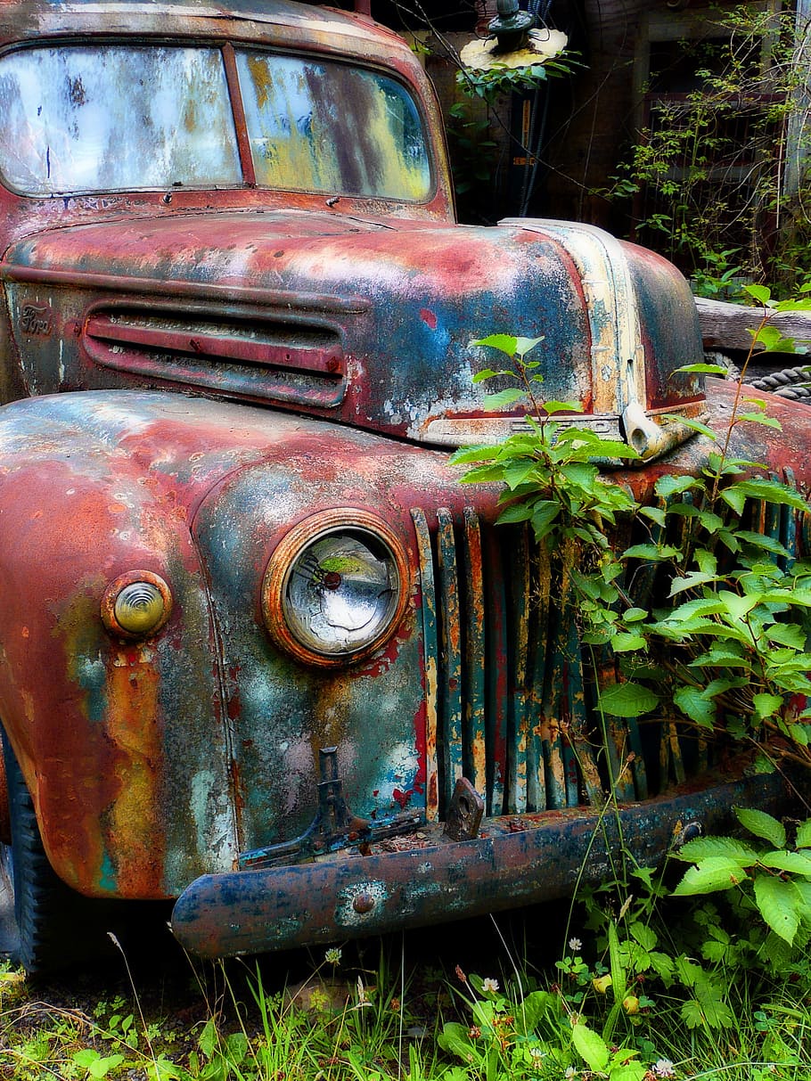 fotografia, enferrujado, veículo, ao lado, plantas, abandonar, clássico, carro vermelho, velho, carro