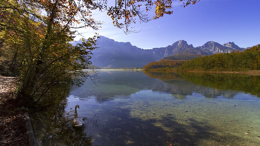 almsee, grünau, upper austria, mood, hiking, landscape, austria, autumn, golden autumn, fall color