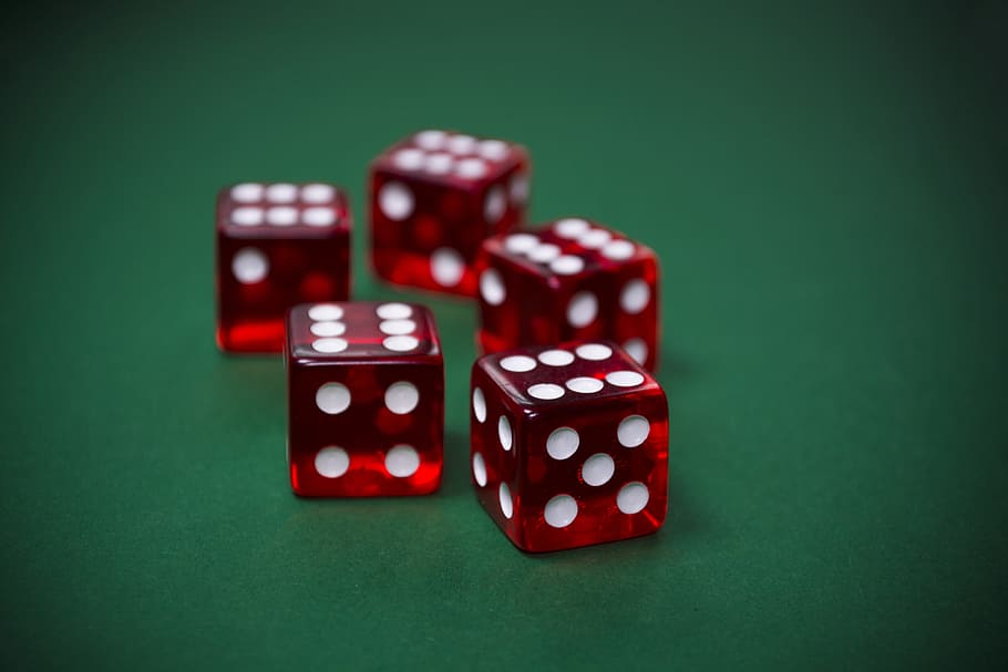 lima, merah, putih, dadu, kubus, judi, risiko, kasino, poker, keberuntungan