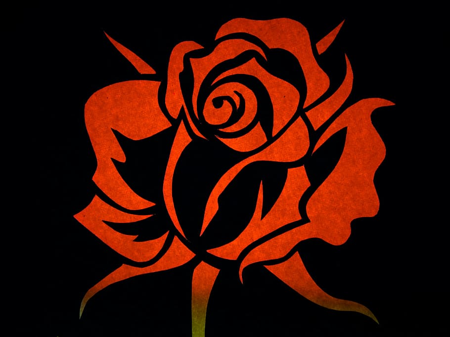 rose, flower, blossom, bloom, contour, outlines, silhouette, red, nature, decoration