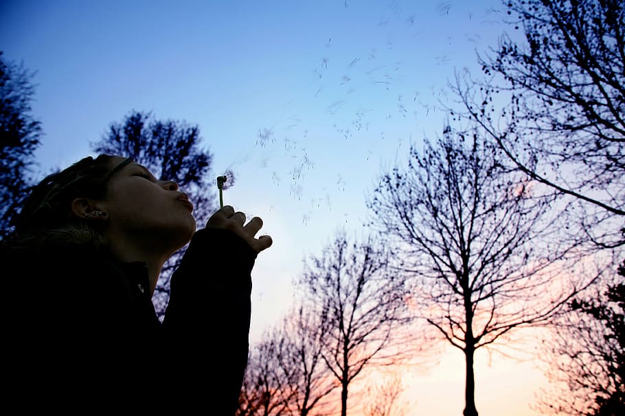 woman, blowing, bubbles, leafless trees, trees, people, outdoors, nature, men, tree
