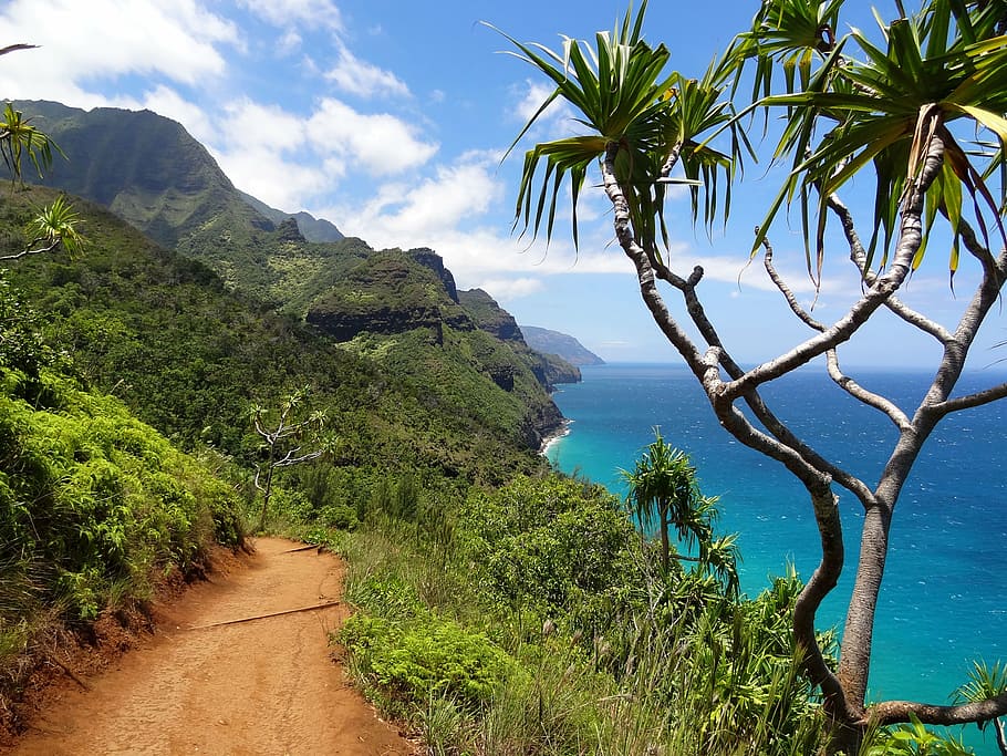 montaña al lado del océano, costa de Napali, Kauai, Nawiliwili, naturaleza, Hawaii, paisaje, parque nacional, ruta de senderismo, mar