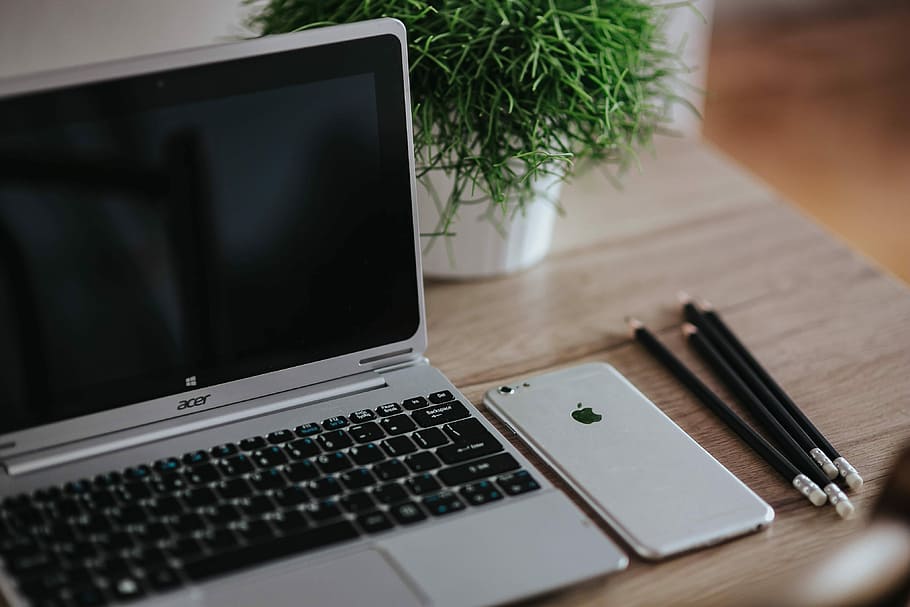 серебряный ноутбук Acer, деревянный, стол, зеленый, растение, карандаши, серебро, Acer, портативный компьютер, зеленое растение